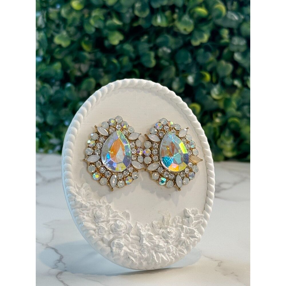 Stunning Large Iridescent Earrings
